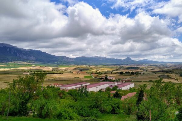 A photo of the landscape in the Rioja wine region in Spain.