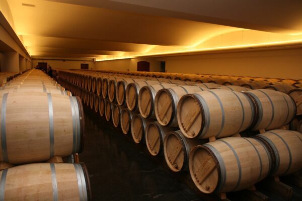 A photo of oak barrels in a winery.