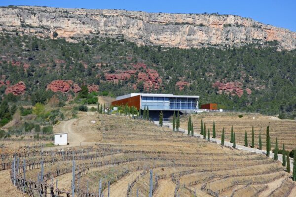 A photo of a little vineyard in Priorat, Spain.