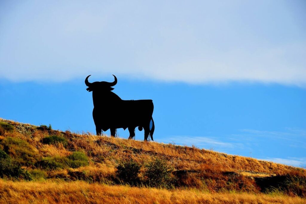 A picture of a Spanish bull in landscape.