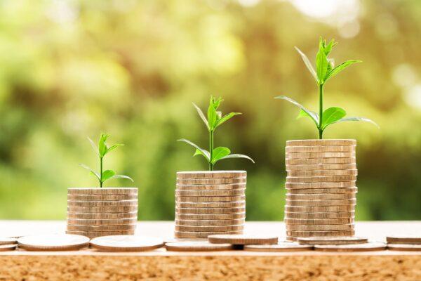 A photo of a stack of coins with a plant on.