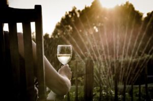 A photo of a person drinking wine in the summer.